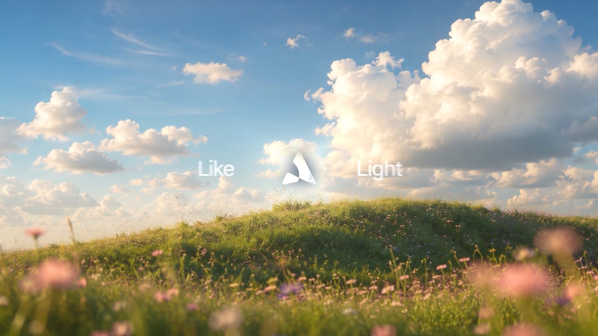 A meadow under an open sky, the Avior mark rising in the line across it.