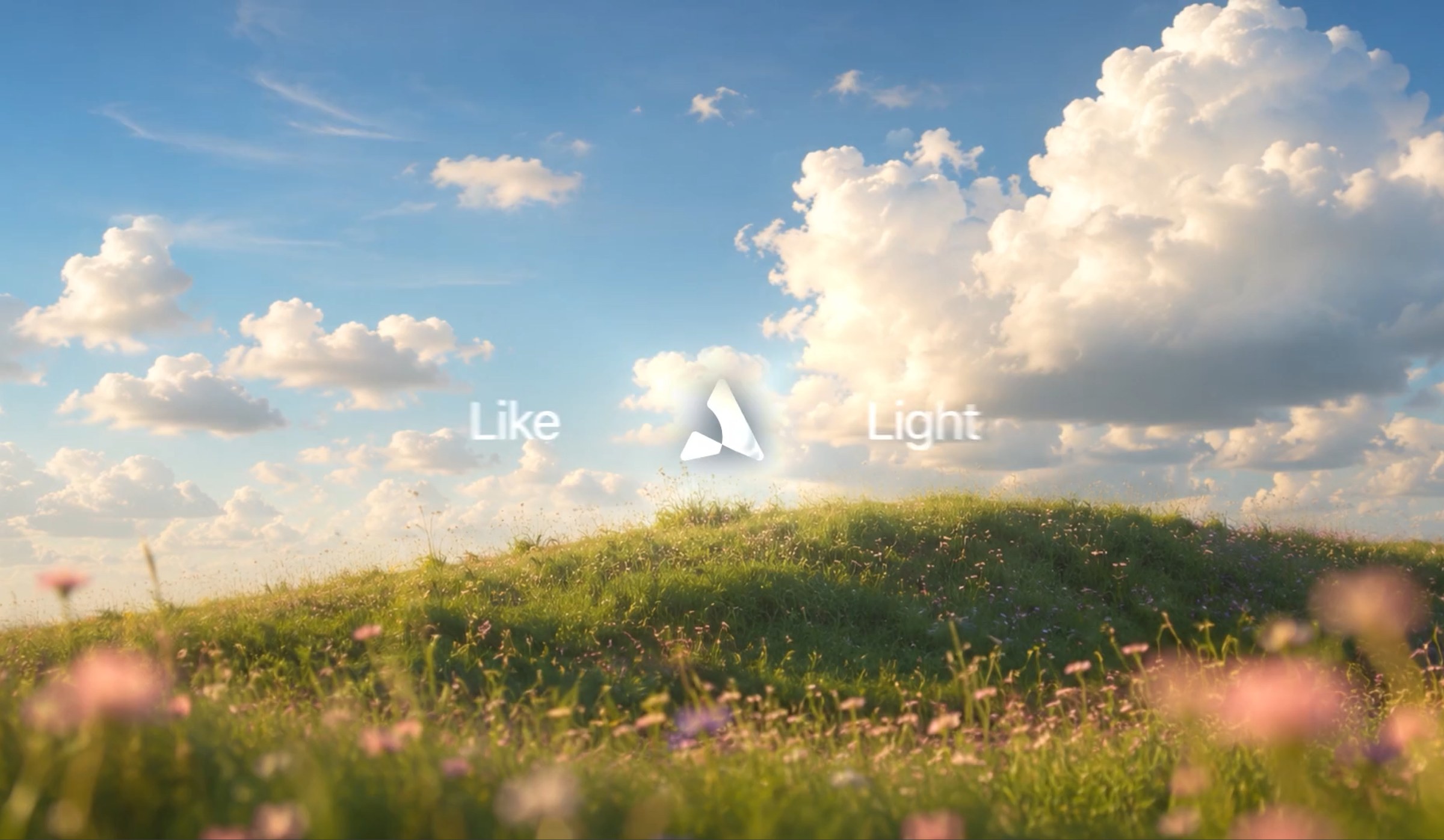 A frame of the Avior film, the mark over a meadow.