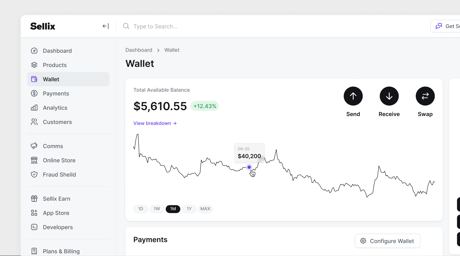 The wallet on the day theme, with the balance drawn as a line.